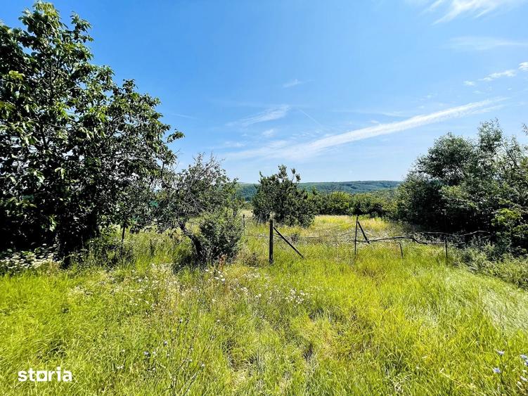 Casa + 2635 mp teren oportunitate Cordau - 2