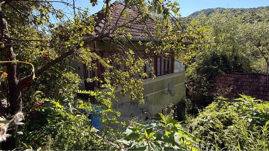Casă cu 3 camere cu Teren 800 Mp în Bozioru