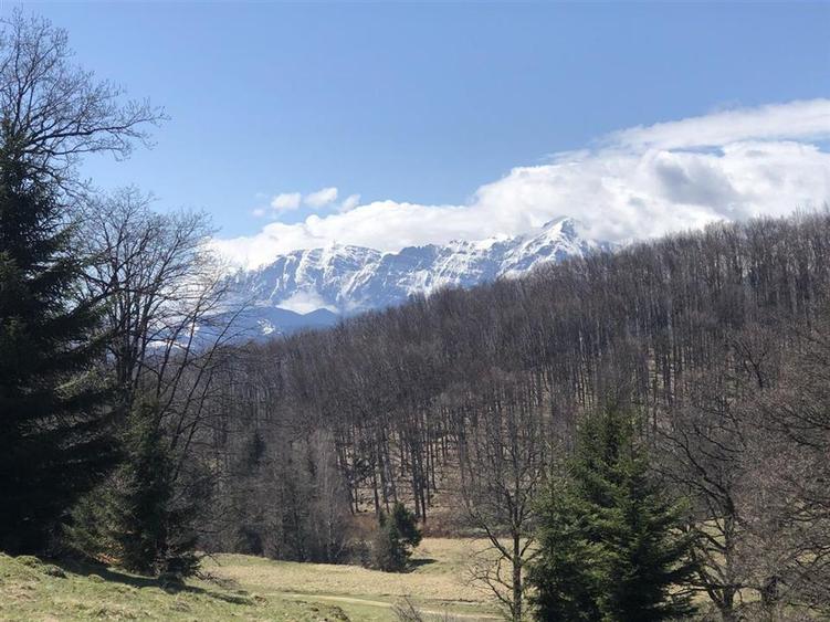 Teren extravilan de 4900 mp, în 13 Decembrie