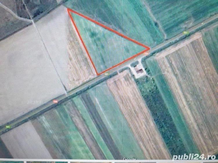 Teren de 32300 mp, în Sud