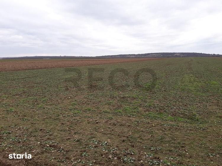 Teren de 29100 mp, în Sântandrei