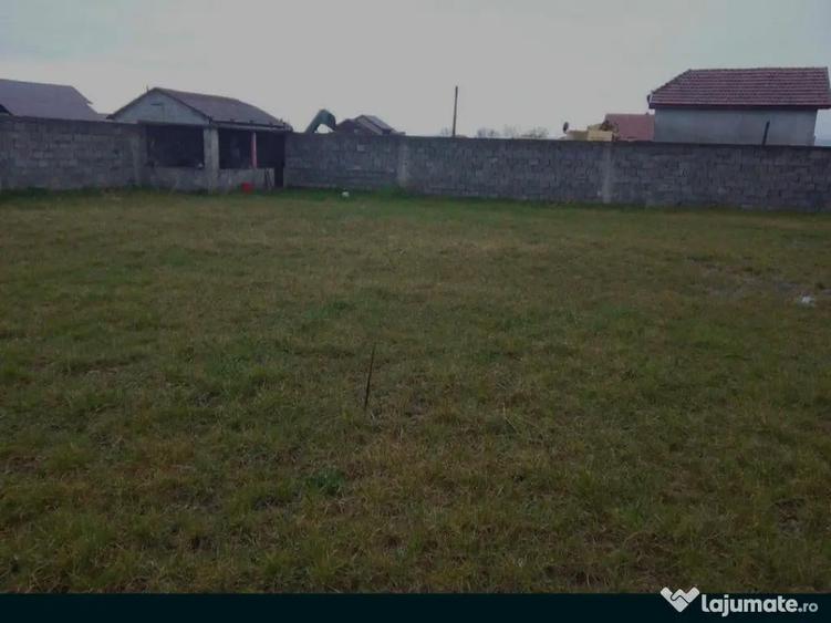 Casă cu 5 camere în Gavojdia