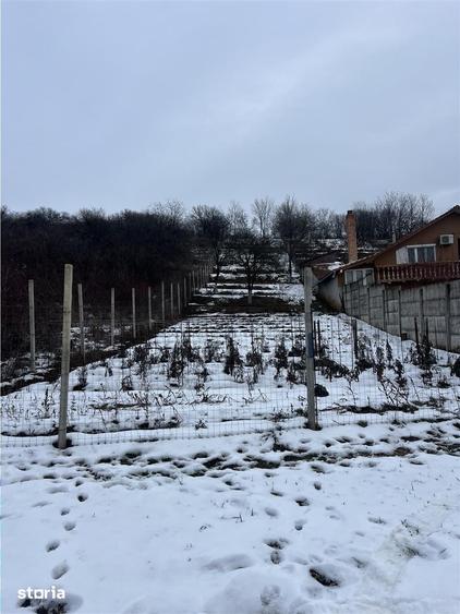 RECO teren intravilan Oradea - 2