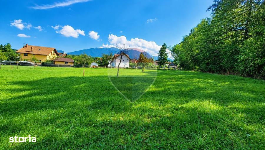 Teren intravilan 2130mp | Predelut, Bra?ov | La 2km de castelul Bran - 2