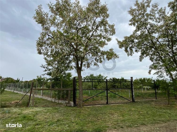 Casă cu 3 camere cu Teren 2350 Mp în Gepiu