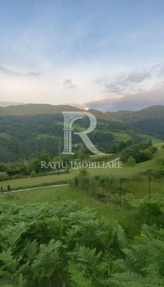 Teren 10.900mp | Panoramă în Apuseni | Remeți -Ideal pentru Investitii - 6