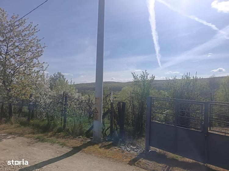 Spațiu comercial, în Rășinari