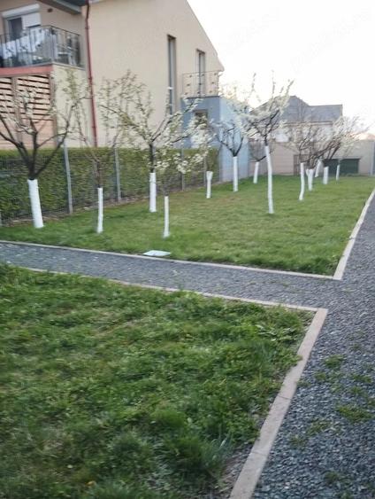 Teren de 595 mp, în Săcălaz