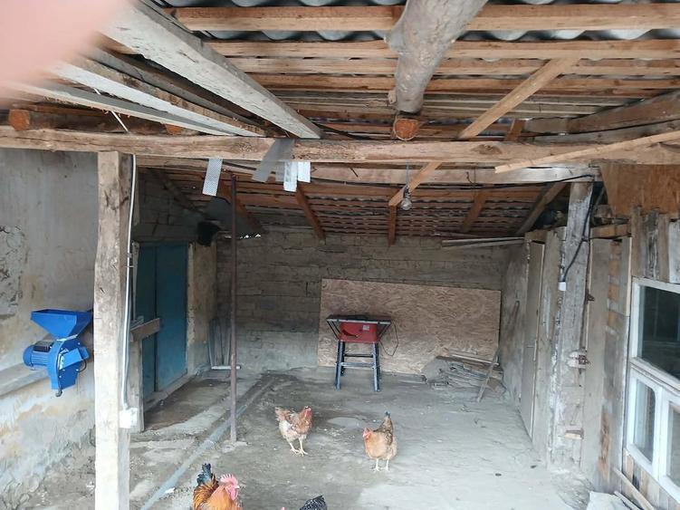 Casă cu Teren 1200 Mp în Central