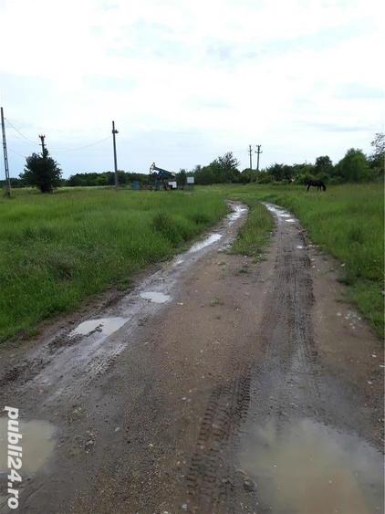 Teren de 11438 mp, în Hințești