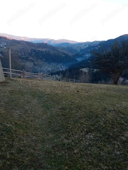 Teren de 3466 mp, în Scărișoara