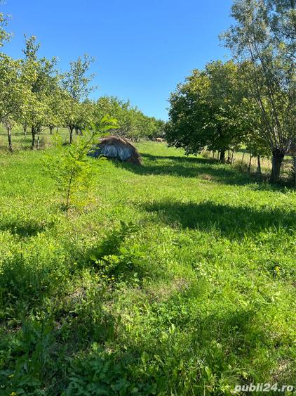 Casă cu 6 camere cu Teren 1900 Mp în Vălenii de Munte