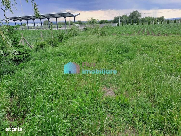 Casă cu 4 camere cu Teren 10000 Mp în Fântâna Mare