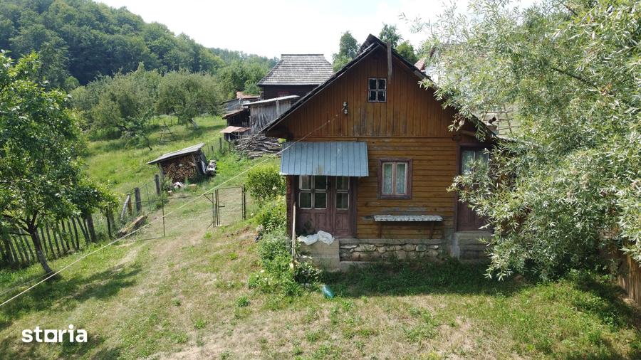 Teren de 6200 mp, în Cicănești