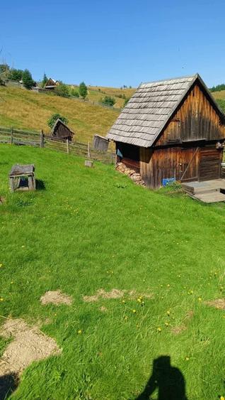 Vand teren intravilan - 7