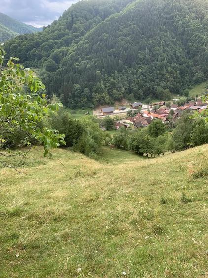 Teren de 6800 mp, în Râu Sadului