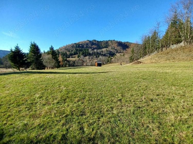 Teren de 8000 mp, în Vama