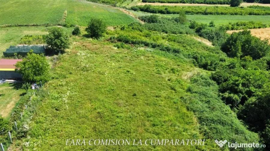 TEREN 7500 MP PRETABIL DEZVOLTARE REZIDENTIALA - Ramnicu Valcea (Valcea) - 11