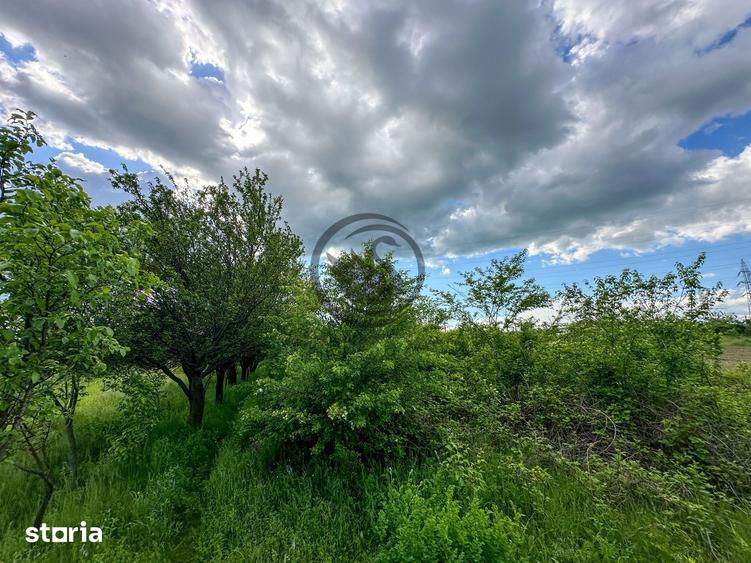 Teren de 3600 mp, în Gura Vitioarei