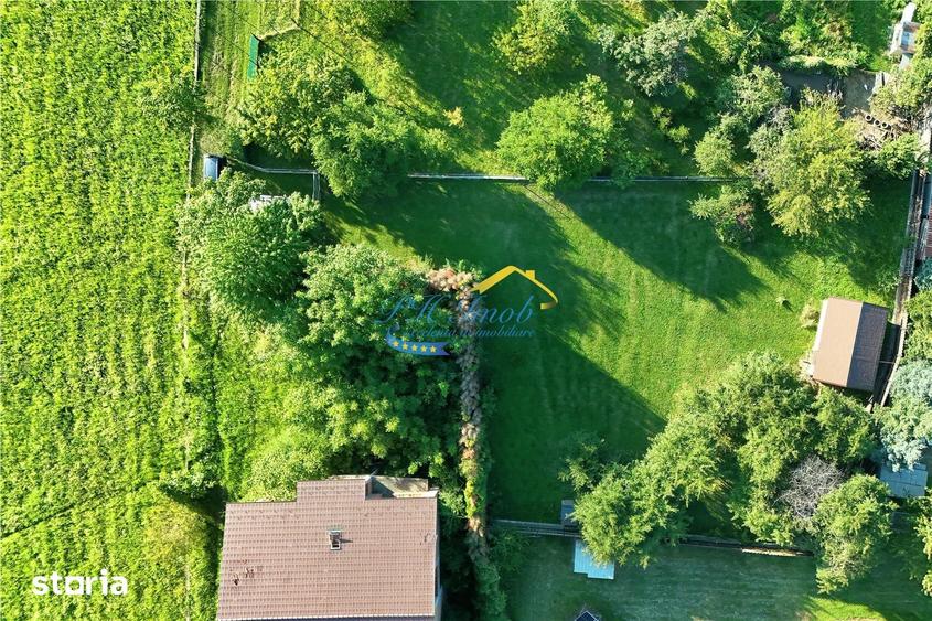Teren de vanzare, Campina - 3