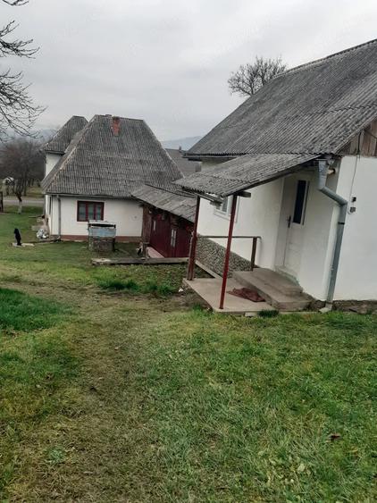 Casă cu Teren 1500 Mp în Bocicoiu Mare