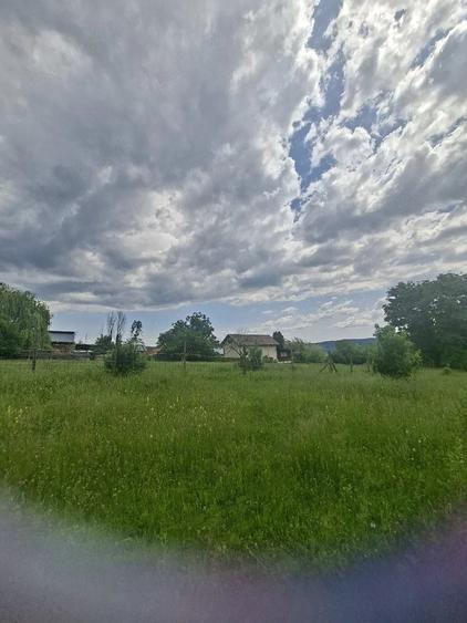 Teren de 5000 mp, în Central