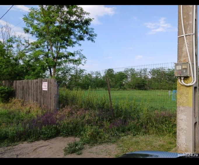 Teren intravilan de 3580 mp, în Călțuna