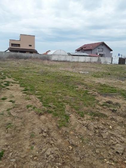 Teren intravilan de 1000 mp, în Țânțăreni