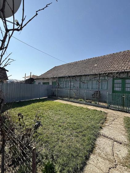 Casă cu Teren 1309 Mp în Carani