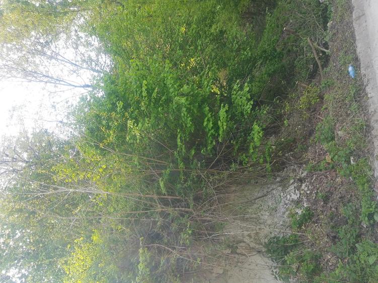 Teren de 2200 mp, în Vlădești