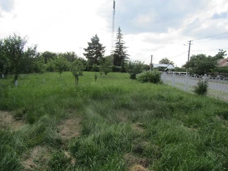 Casă cu 3 camere cu Teren 3884 Mp în Săvinești
