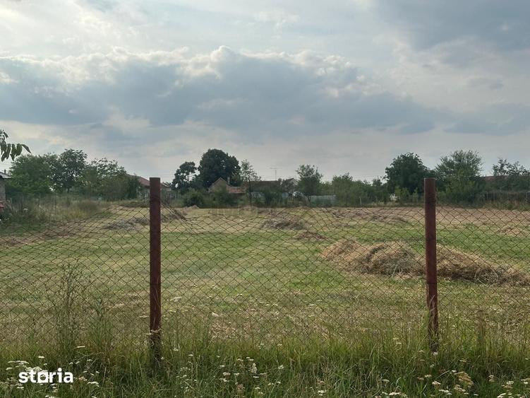 Teren intravilan de vanzare in Alios Timis, comision 0% - 3