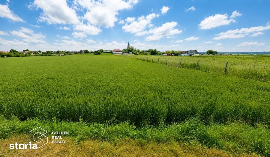 Teren de 5300 mp, în Vladimirescu