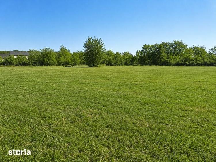 Vanzare Teren intravilan 1.5254.991 mp | Balteni Scrovistea, Il - 5