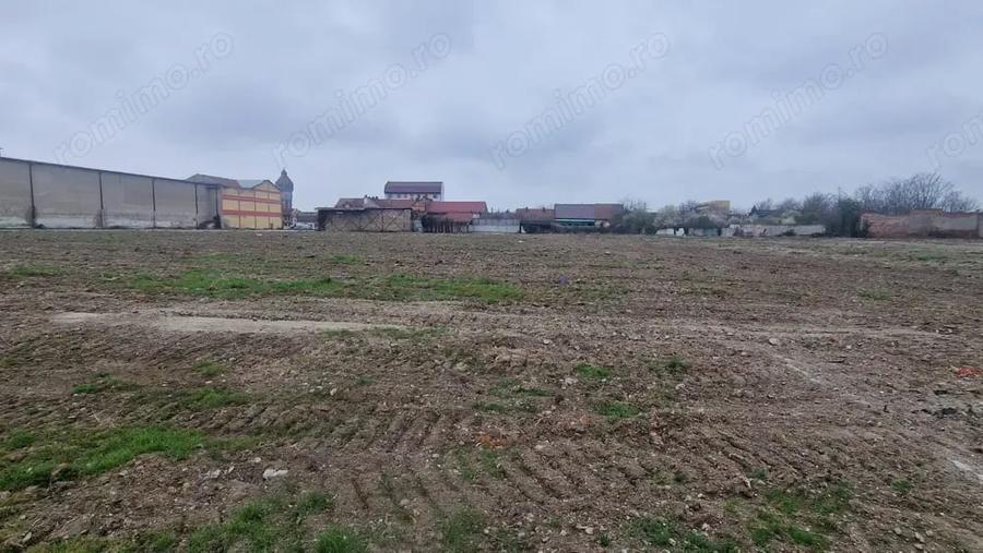 Teren de 69000 mp, în Nord