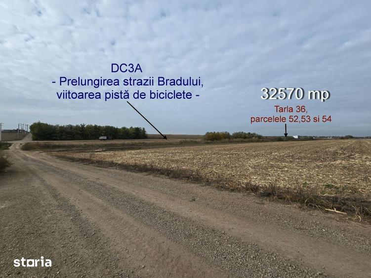 Teren de 32570 mp, în Vânători