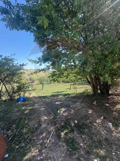 Teren agricol extravilan de 6322 mp, în Central