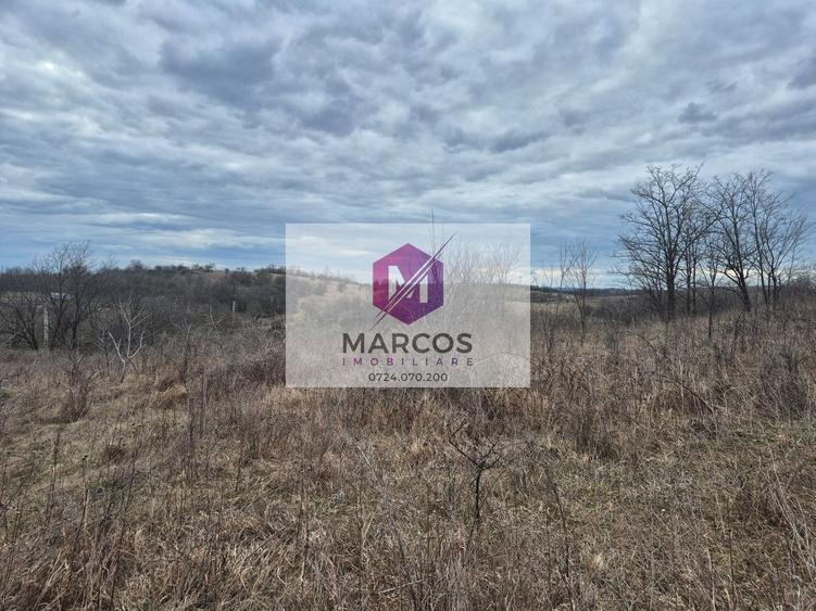 Teren agricol extravilan de 11400 mp, în Iabalcea