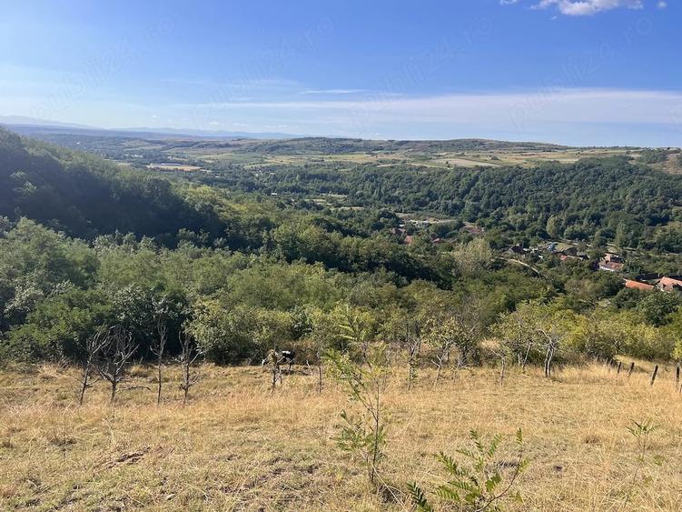 Teren de 20000 mp, în Râmeț