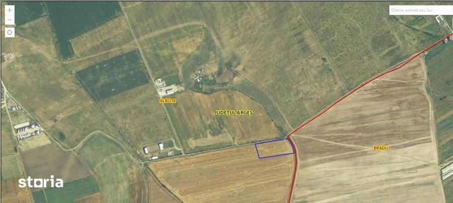 Teren Albota / zona Statiune - Papillon / 10.000 mp / Deschidere 142 m - 3