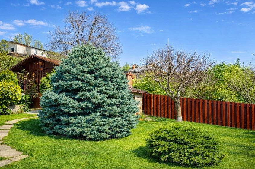 Vilă elegantă, 7 camere, cu sală de fitness și saună — Bucium, Iași - 11