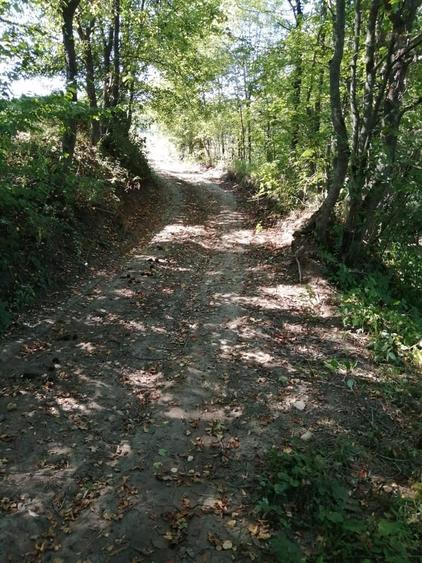 Teren de 1600 mp, în Cacica