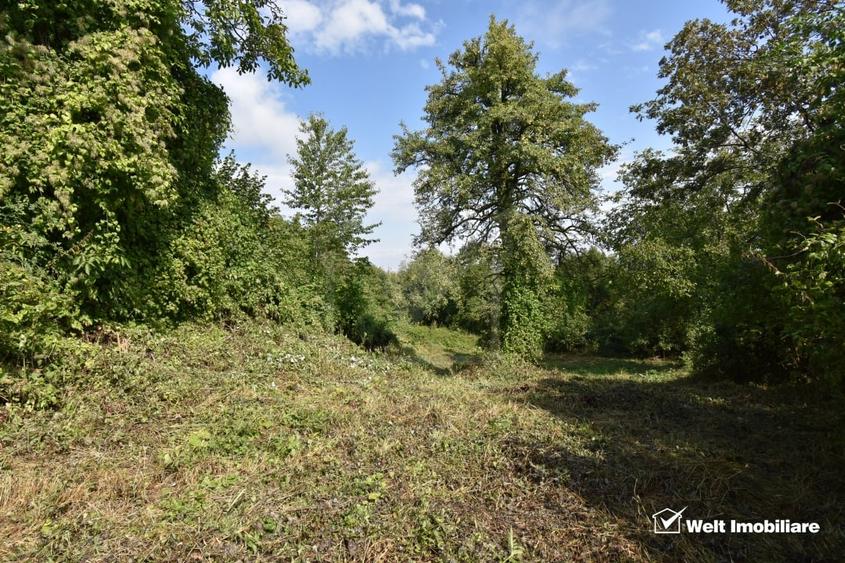Casă individuală cu 2 camere cu Teren 1547 Mp în Gheorghieni