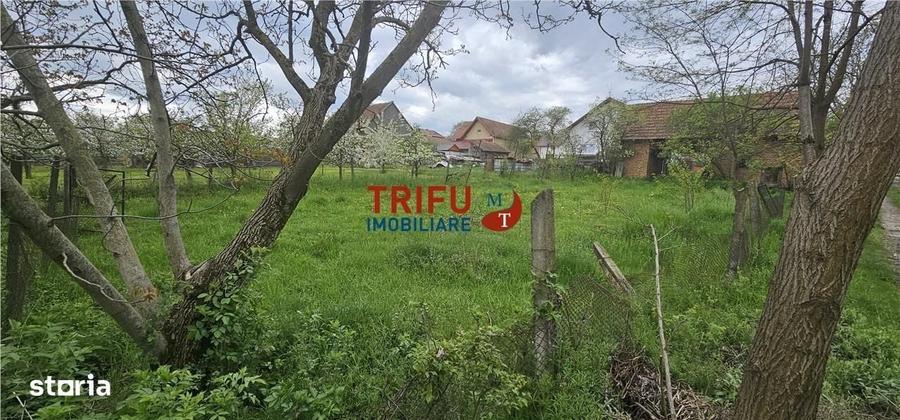 Casă cu 2 camere cu Teren 3101 Mp în Galda de Jos