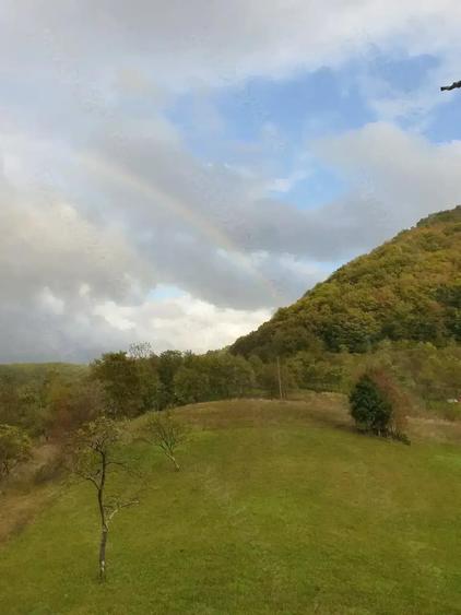 Teren de 8500 mp, în Hărțăgani