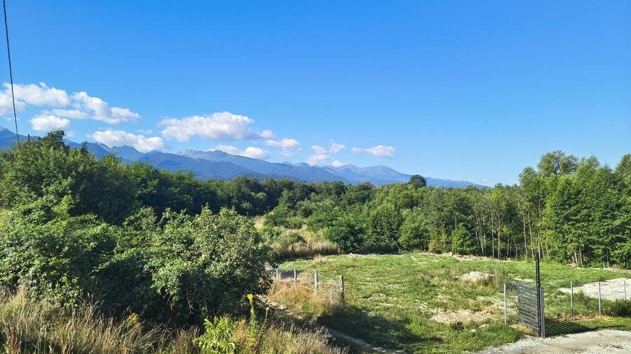 Teren de 1100 mp, în Arpașu de Sus