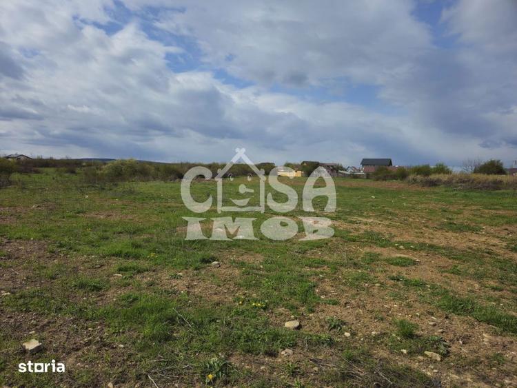 Teren de 3100 mp, în Priseaca