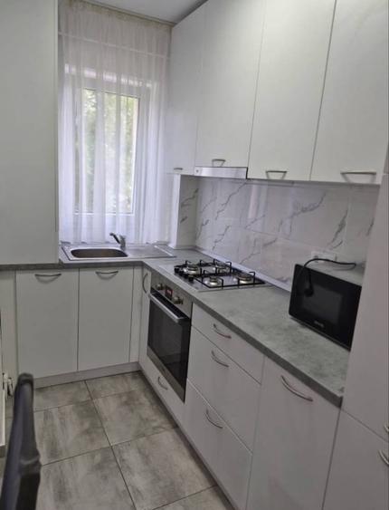 Apartament cu 2 camere în Botizului