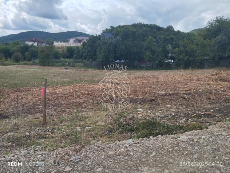 Teren Construcții intravilan de 1200 mp, în Viișoara