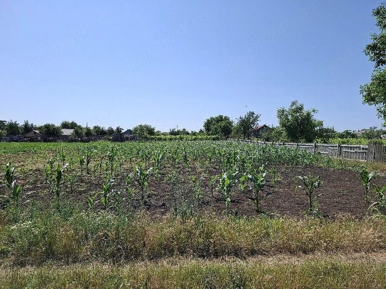 Teren de 1500 mp, în Padina
